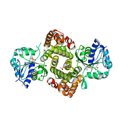 BU of 6pyp by Molmil