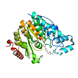 BU of 6pzs by Molmil