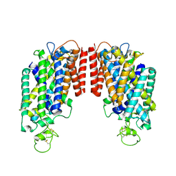 BU of 6pzt by Molmil