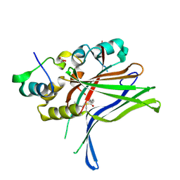 BU of 6q2x by Molmil