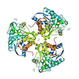 BU of 6q37 by Molmil