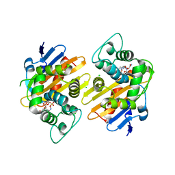 BU of 6q5b by Molmil