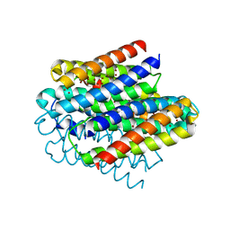 BU of 6q6b by Molmil