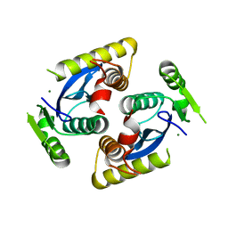 BU of 6qbv by Molmil