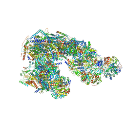 AU of 6qc2 by Molmil