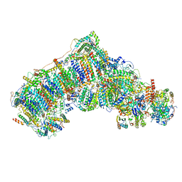 BU of 6qc5 by Molmil