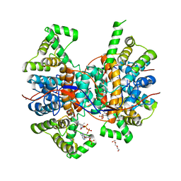 BU of 6qcl by Molmil