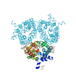 BU of 6qd5 by Molmil