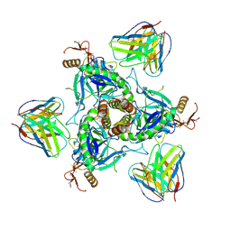 BU of 6qd8 by Molmil