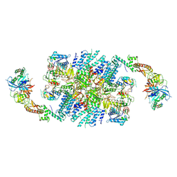 BU of 6qg0 by Molmil