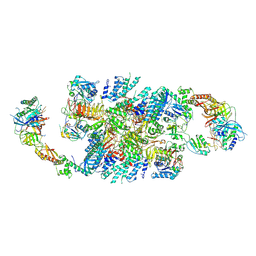 BU of 6qg3 by Molmil