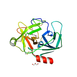 BU of 6qhc by Molmil