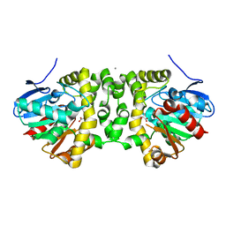 BU of 6qi0 by Molmil