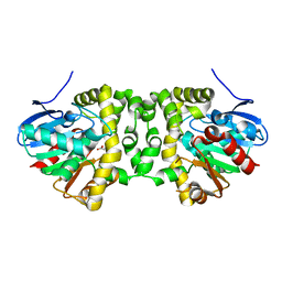 BU of 6qi1 by Molmil