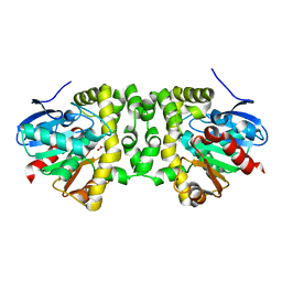 BU of 6qi3 by Molmil