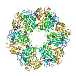 BU of 6qi8 by Molmil