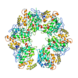 BU of 6qi9 by Molmil