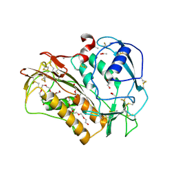 BU of 6qix by Molmil