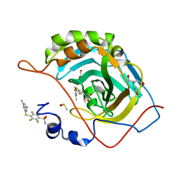 BU of 6ql1 by Molmil