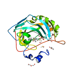 BU of 6ql3 by Molmil