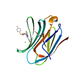 BU of 6qlp by Molmil