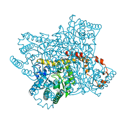 BU of 6qnc by Molmil