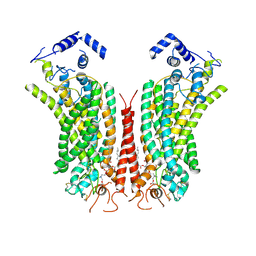 BU of 6qpc by Molmil