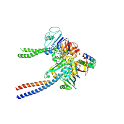 BU of 6qpw by Molmil