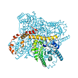 BU of 6qrt by Molmil