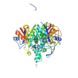 BU of 6qsp by Molmil