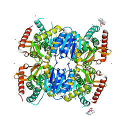 BU of 6qss by Molmil