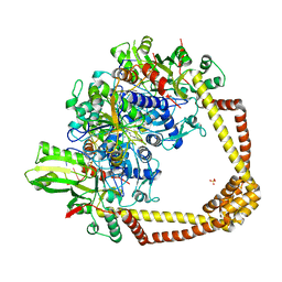 BU of 6qtp by Molmil