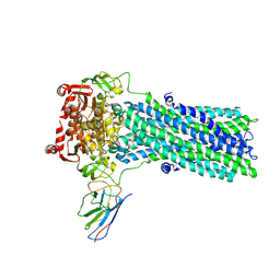 BU of 6qv2 by Molmil