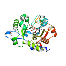 BU of 6qvt by Molmil