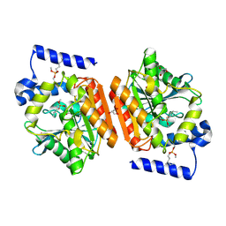 BU of 6rb0 by Molmil