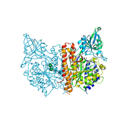 BU of 6rbc by Molmil