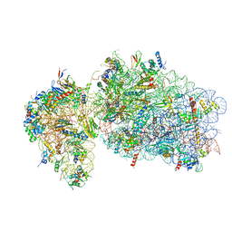 BU of 6rbe by Molmil