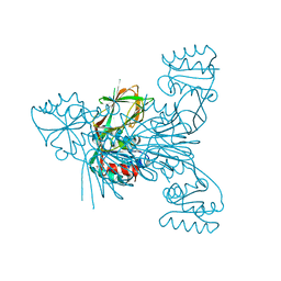 BU of 6rbt by Molmil