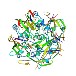 BU of 6rcd by Molmil