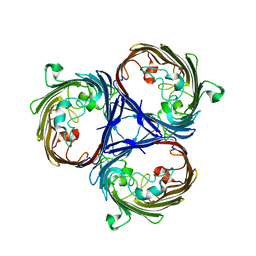 BU of 6rcp by Molmil