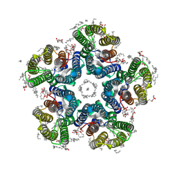 AU of 6rew by Molmil