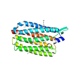 BU of 6rf7 by Molmil