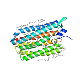 BU of 6rfb by Molmil