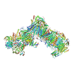 BU of 6rfq by Molmil