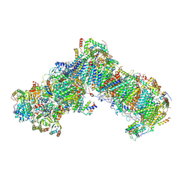 BU of 6rfr by Molmil