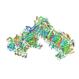 BU of 6rfs by Molmil