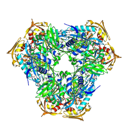 BU of 6rfx by Molmil