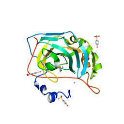 BU of 6rig by Molmil