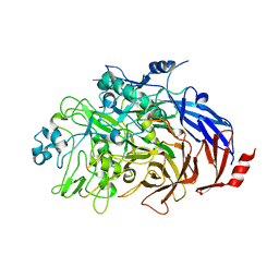 BU of 6rj1 by Molmil