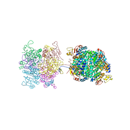 BU of 6rj4 by Molmil